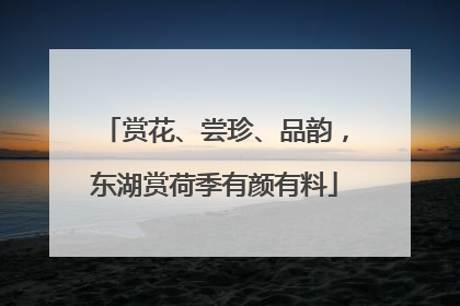 赏花、尝珍、品韵，东湖赏荷季有颜有料