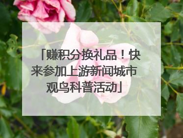 赚积分换礼品！快来参加上游新闻城市观鸟科普活动