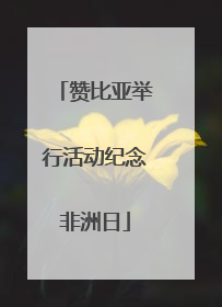 赞比亚举行活动纪念非洲日