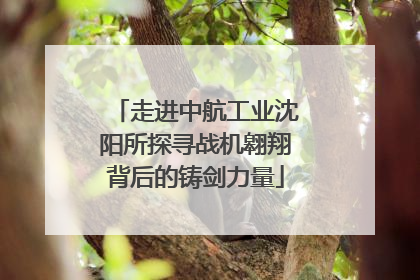 走进中航工业沈阳所探寻战机翱翔背后的铸剑力量