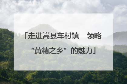 走进嵩县车村镇—领略“黄精之乡”的魅力