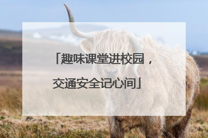 趣味课堂进校园，交通安全记心间
