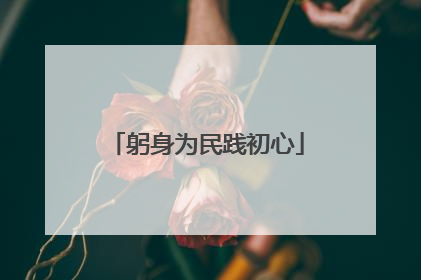 躬身为民践初心
