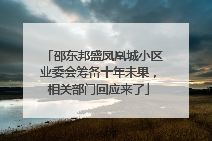 邵东邦盛凤凰城小区业委会筹备十年未果，相关部门回应来了