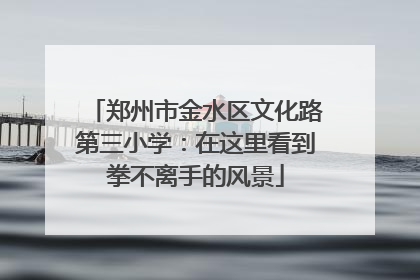 郑州市金水区文化路第三小学：在这里看到拳不离手的风景