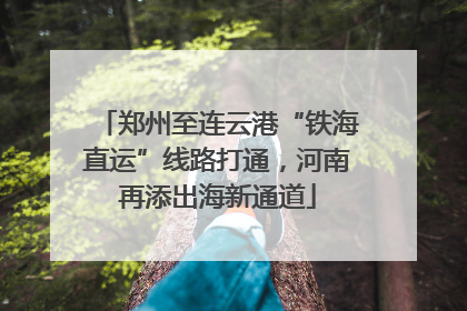 郑州至连云港“铁海直运”线路打通，河南再添出海新通道