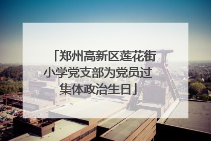 郑州高新区莲花街小学党支部为党员过集体政治生日
