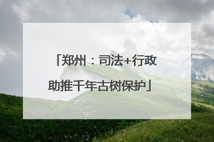 郑州：司法+行政助推千年古树保护