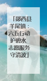 郧西县羊尾镇：六五行动护碧水 志愿服务守清波