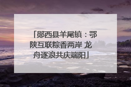 郧西县羊尾镇：鄂陕互联粽香两岸 龙舟逐浪共庆端阳