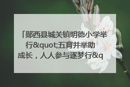 郧西县城关镇明德小学举行"五育并举助成长，人人参与逐梦行"庆六一活动