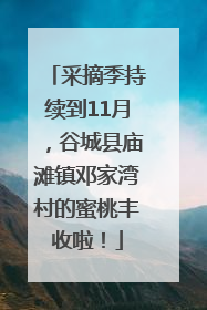 采摘季持续到11月，谷城县庙滩镇邓家湾村的蜜桃丰收啦！