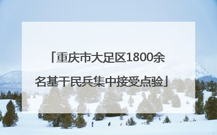重庆市大足区1800余名基干民兵集中接受点验