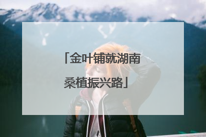 金叶铺就湖南桑植振兴路