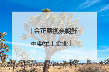 金正恩视察朝鲜重要军工企业