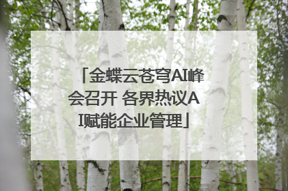 金蝶云苍穹AI峰会召开 各界热议AI赋能企业管理