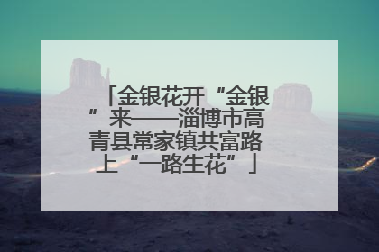 金银花开“金银”来——淄博市高青县常家镇共富路上“一路生花”