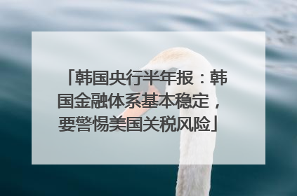 韩国央行半年报：韩国金融体系基本稳定，要警惕美国关税风险