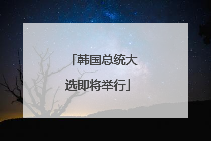 韩国总统大选即将举行