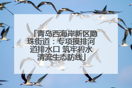 青岛西海岸新区隐珠街道：专项摸排河道排水口 筑牢碧水清流生态防线