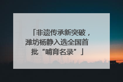 非遗传承新突破，潍坊杨静入选全国首批“哺育名录”