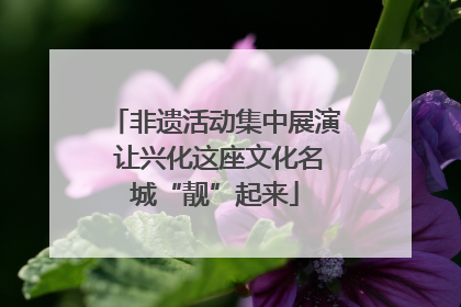 非遗活动集中展演 让兴化这座文化名城“靓”起来