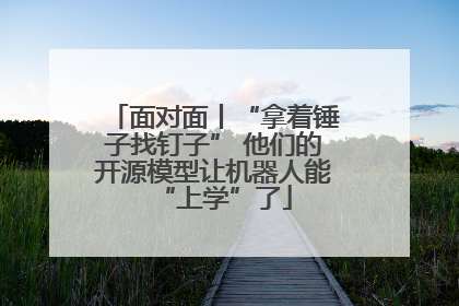面对面丨“拿着锤子找钉子” 他们的开源模型让机器人能“上学”了