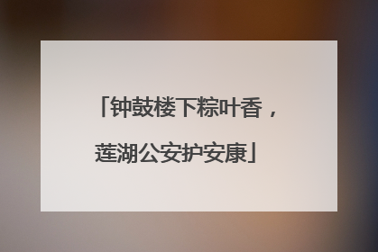 钟鼓楼下粽叶香，莲湖公安护安康