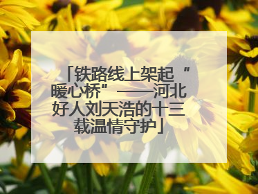 铁路线上架起“暖心桥”——河北好人刘天浩的十三载温情守护