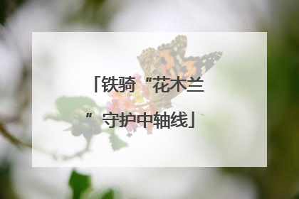 铁骑“花木兰”守护中轴线