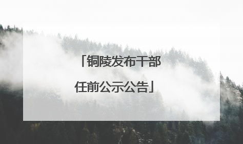 铜陵发布干部任前公示公告