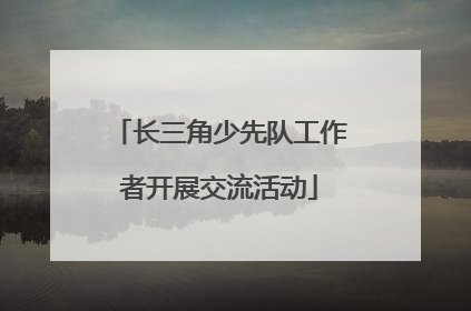 长三角少先队工作者开展交流活动