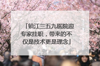 镇江三五九医院迎专家挂职，带来的不仅是技术更是理念