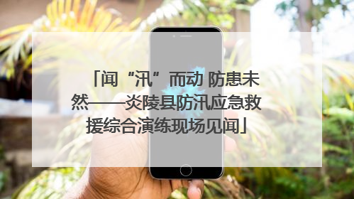 闻“汛”而动 防患未然——炎陵县防汛应急救援综合演练现场见闻
