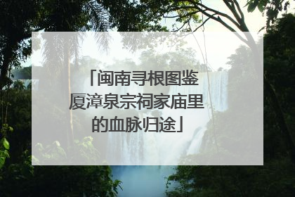 闽南寻根图鉴 厦漳泉宗祠家庙里的血脉归途