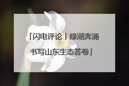 闪电评论丨绿潮奔涌 书写山东生态答卷