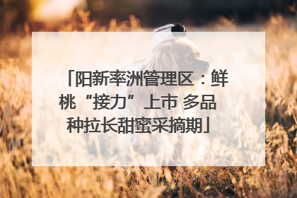 阳新率洲管理区：鲜桃“接力”上市 多品种拉长甜蜜采摘期