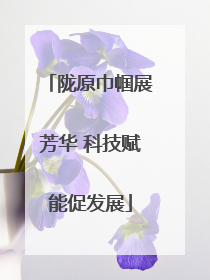 陇原巾帼展芳华 科技赋能促发展