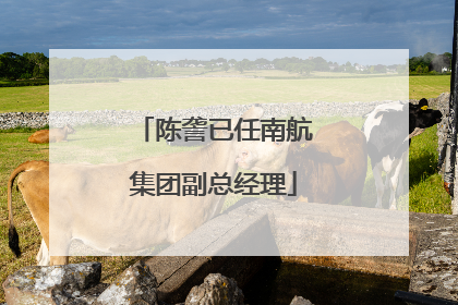 陈詟已任南航集团副总经理