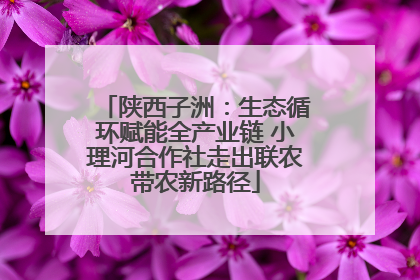 陕西子洲：生态循环赋能全产业链 小理河合作社走出联农带农新路径