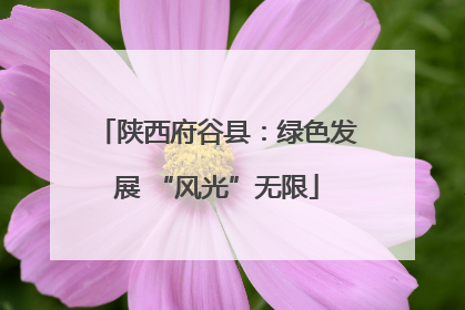 陕西府谷县：绿色发展 “风光”无限