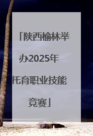 陕西榆林举办2025年托育职业技能竞赛