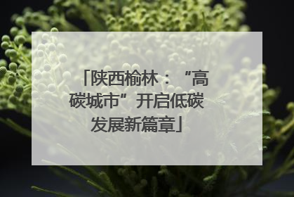 陕西榆林：“高碳城市”开启低碳发展新篇章