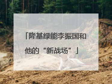 隆基绿能李振国和他的“新战场”
