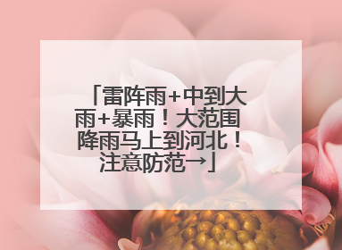 雷阵雨+中到大雨+暴雨！大范围降雨马上到河北！注意防范→