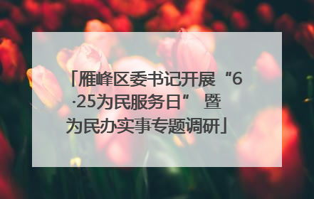 雁峰区委书记开展“6·25为民服务日” 暨为民办实事专题调研