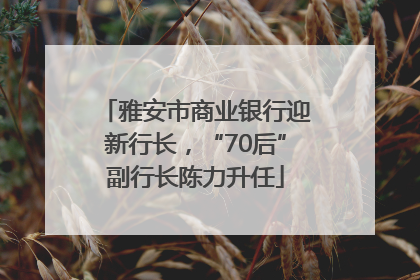 雅安市商业银行迎新行长，“70后”副行长陈力升任
