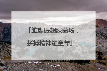 雏鹰振翅绿茵场，拼搏精神耀童年