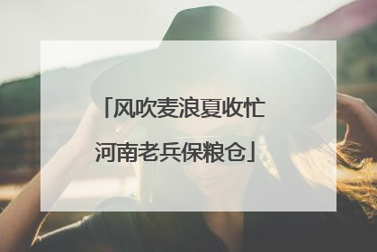 风吹麦浪夏收忙 河南老兵保粮仓