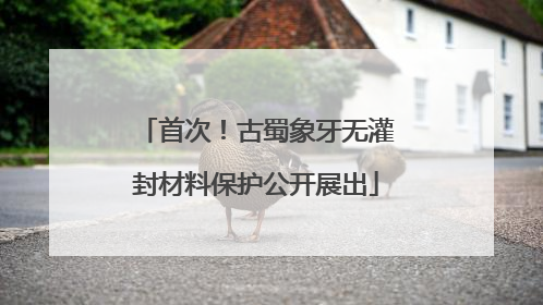 首次！古蜀象牙无灌封材料保护公开展出